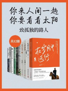 你来人间一趟，你要看看太阳：致孤独的路人（共12册）-第1张图片